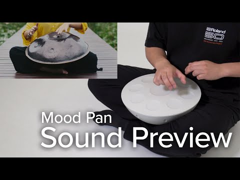 Roland Mood Pan MN-10 – Drumland Canada | Official