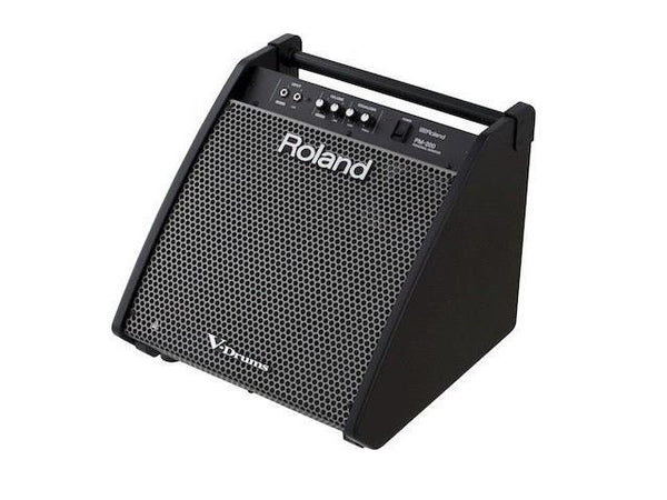 Roland PM-200 Personal Monitor Amp